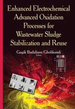 Enhanced Electrochemical Advanced Oxidation Processes for Wastewater Sludge Stabilization and Reuse