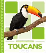 Toucans