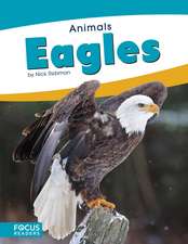 Eagles