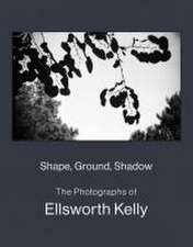 Shape, Ground, Shadow: The Photographs of Ellsworth Kelly