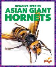 Asian Giant Hornets