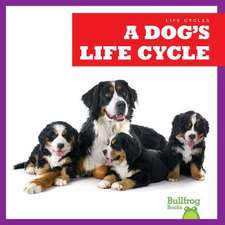 A Dog's Life Cycle