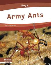 Army Ants