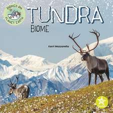 Tundra Biome