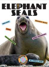 Elephant Seals