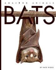 Bats