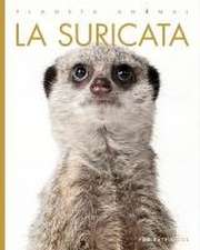 La Suricata