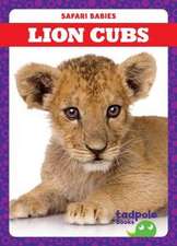 Lion Cubs