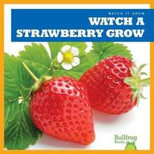 Watch a Strawberry Grow