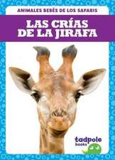 Las Crias de la Jirafa (Giraffe Calves)