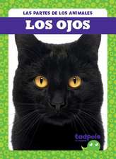 Los Ojos (Eyes)