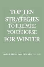 Top Ten Strategies To Prepare Your Horse For Winter