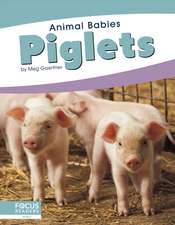 Piglets
