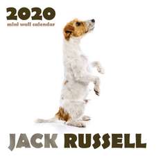 Jack Russell 2020 Mini Wall Calendar