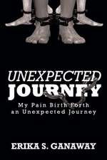 Unexpected Journey