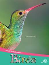 Birds
