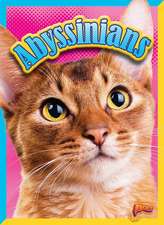 Abyssinians