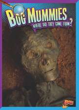 Bog Mummies: Where Did They Come From?