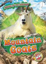 Mountain Goats