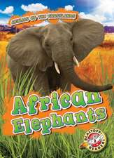 African Elephants