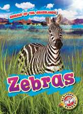 Zebras