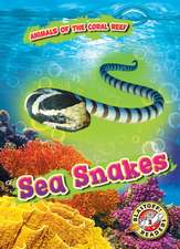 Sea Snakes