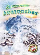 Avalanches