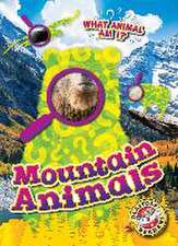 Mountain Animals