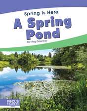 A Spring Pond