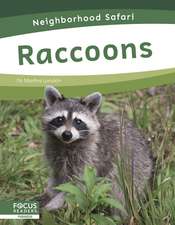 Raccoons
