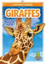 Giraffes