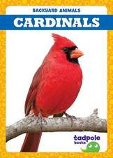 Cardinals