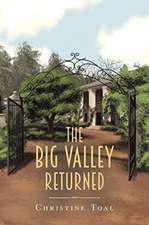 The Big Valley Returned
