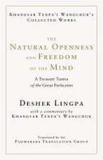 The Natural Openness and Freedom of the Mind