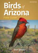 Birds of Arizona Field Guide