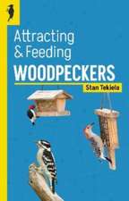 Attracting & Feeding Woodpeckers