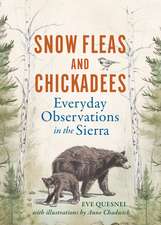 Snow Fleas and Chickadees: Everyday Observations in the Sierra