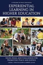 Experiential Learning in Higher Education