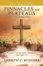 Pinnacles and Plateaus - Volume One: Meditations with the Psalmist