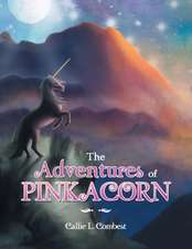 The Adventures of Pinkacorn