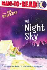 Bauer, M: Night Sky