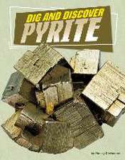 Dig and Discover Pyrite