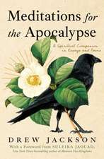 Meditations for the Apocalypse: A Spiritual Companion in Essays and Poems