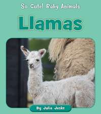 Llamas