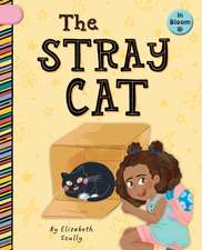 The Stray Cat