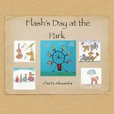 Flash's Day at the Park