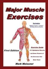 Major Muscle Exercises