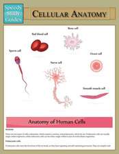 Cellular Anatomy (Speedy Study Guide)