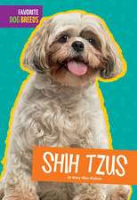 Shih Tzus