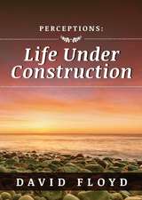 Perceptions: Life Under Construction